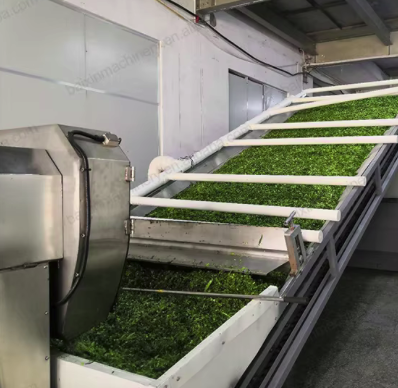 Cardamom dehydration line used in the processing stage